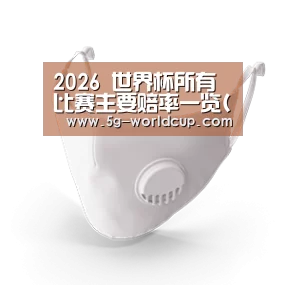 N95 口罩