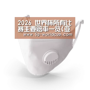 N95 口罩